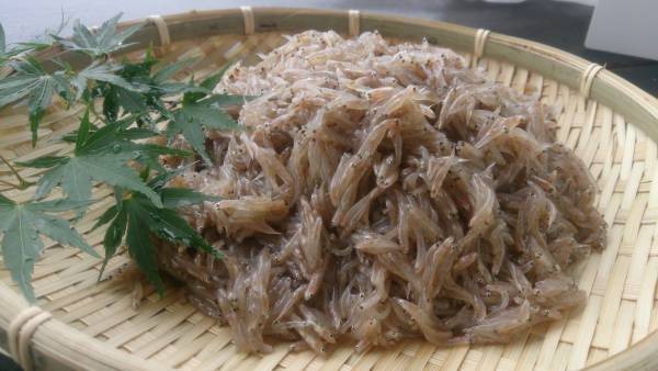 びわ湖の恵みクルーズ「沖島・ウロリ漁見学とビワマス」開催日：8月28日（日）