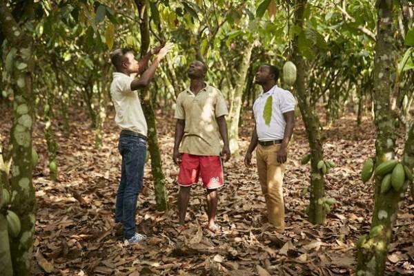 国内製造のプロ向けサステナブルチョコレートをオンラインショップで8月5日より発売開始