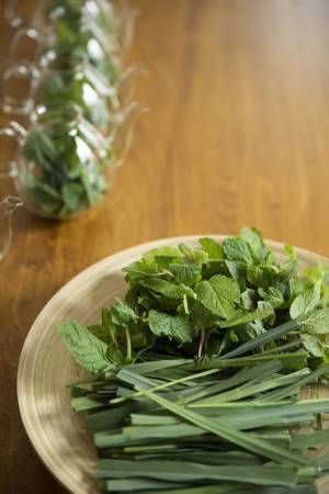 サステナブルなプロップスタイリスト専門スクールを新規開講！“0(ゼロ)プラスチックの環境で心と体と環境に優しいプロップスタイリストを目指す”《スタイリングの学校》by 「一般社団法人テーブルウェアスタイリスト連合会」