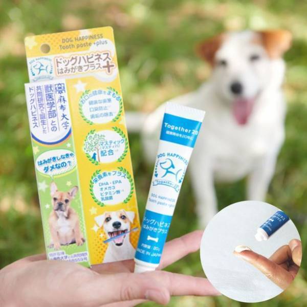 歯磨きで大切な愛犬の健康習慣をサポート　犬用オーラルケアブランド「ドッグハピネス」が公式サイト開設