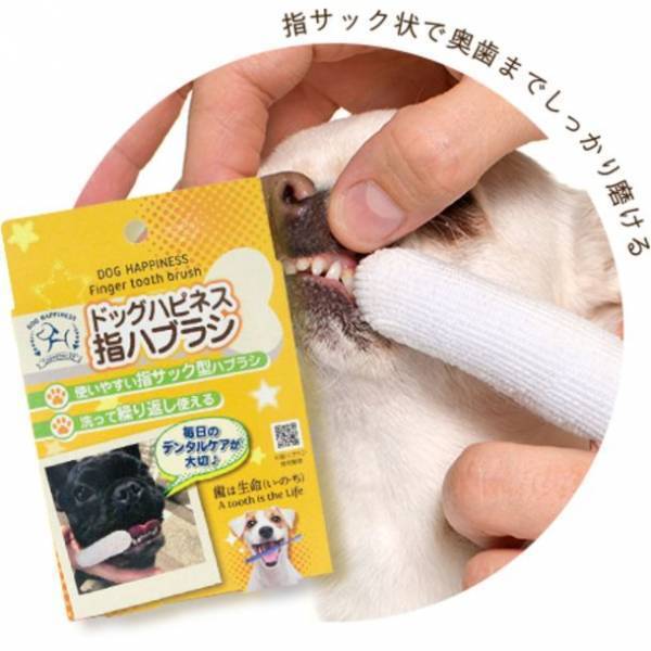歯磨きで大切な愛犬の健康習慣をサポート　犬用オーラルケアブランド「ドッグハピネス」が公式サイト開設