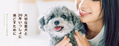 歯磨きで大切な愛犬の健康習慣をサポート　犬用オーラルケアブランド「ドッグハピネス」が公式サイト開設