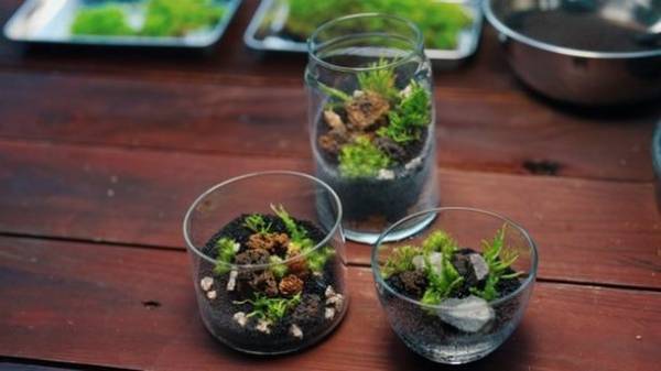 ＜山梨＞自然の中で“花”と“美味しい”を楽しむ「Flower Out festival(フラワーアウトフェスティバル)」　山中湖村「花の都公園」にて8/6、8/7(はなの日)、8/8に開催