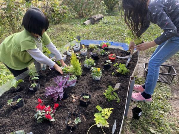 子どもたちが全部決める学校「まめの木」(兵庫県丹波篠山市)が新校舎改修プロジェクトのクラウドファンディングを実施！～築100年の古民家を子どもたちが活動しやすい空間に～