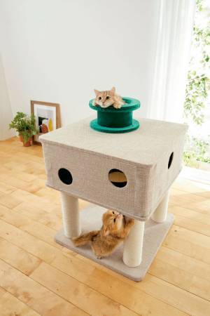 猫の本能を刺激する“土管型のキャットタワー”が8/18(木)発売　開発段階で反響多数！ひょっこり顔を出す姿はまるでゲームの世界