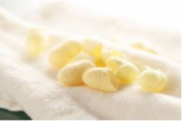 「シルキング」で肌や髪に極上の保湿、エイジングケアを希少な「みどりまゆ」のシルクエキスを贅沢に配合した新商品　「Itoguchi」と「ulfada」の2アイテムを8月4日(木)発売