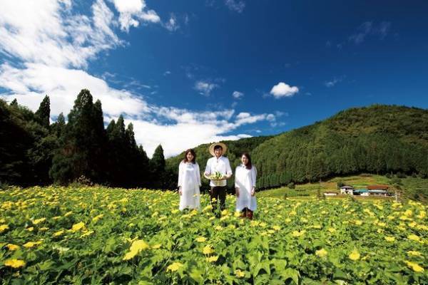 ＜美肌菌＞のための美容オイルNatures for『ボタニックセバムオイル』新発売