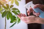 オフィスに観葉植物を置きたい企業向け　“ガーデナーの管理サポート付き”観葉植物を8月8日に提供開始