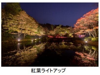 六甲高山植物園 市街地より一足早い秋の訪れ紅葉見頃 10月下旬～11月上旬ライトアップも開催決定！