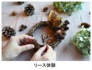六甲高山植物園 市街地より一足早い秋の訪れ紅葉見頃 10月下旬～11月上旬ライトアップも開催決定！