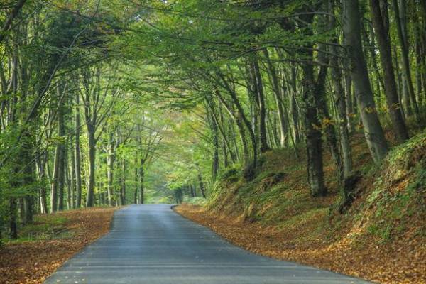 【トルコ共和国大使館・文化広報参事官室】～トルコのサイクリングロード5選～文化遺産、ユニークな自然や都市を自転車で巡る旅を提案