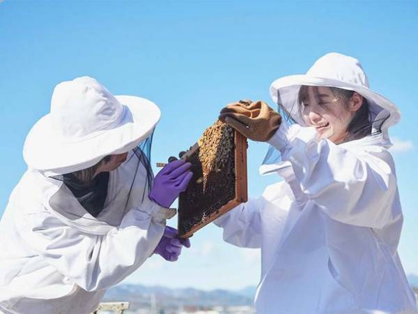 工学院大学、東京産ハチミツ配合　KUTE Honey ボディケアシリーズを限定販売(8/20・21)