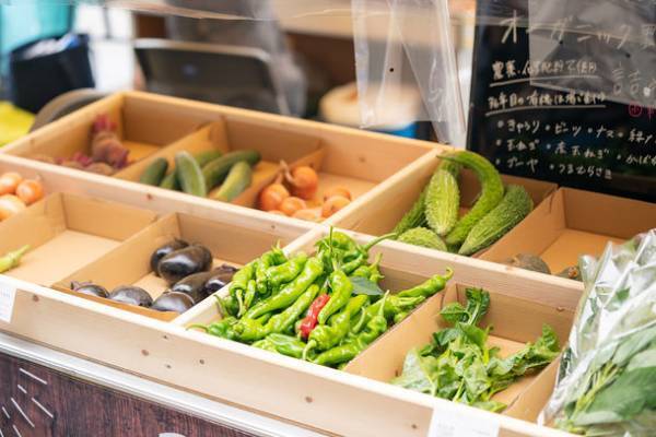 【草津温泉】「食」「温泉」「ヨガ」で、群馬を満喫！心身を癒す新たなイベント『Gunma Retreat Marche(グンマ　リトリート　マルシェ)』が10/1(土)・10/2(日)に草津温泉で開催！