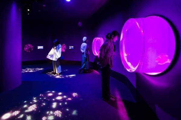 「未知なる新世海 神秘の海ゾーン」に注目　2022年9月23日(金・祝)・24日(土)限定！クラゲナイト開催