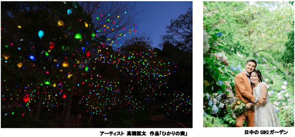 ROKKO森の音ミュージアム「ウェディングフォトプラン」に秋限定フォトスポット登場温かな光のアートに包まれて、特別なウェディングフォトを