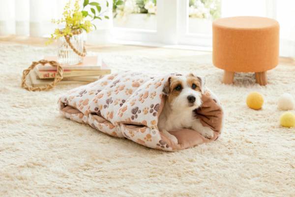 サステナブルな天然繊維「カポック」を使用した、初※のドッグウェアとベッドを2022年8月18日(木)に発売