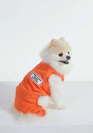 サステナブルな天然繊維「カポック」を使用した、初※のドッグウェアとベッドを2022年8月18日(木)に発売