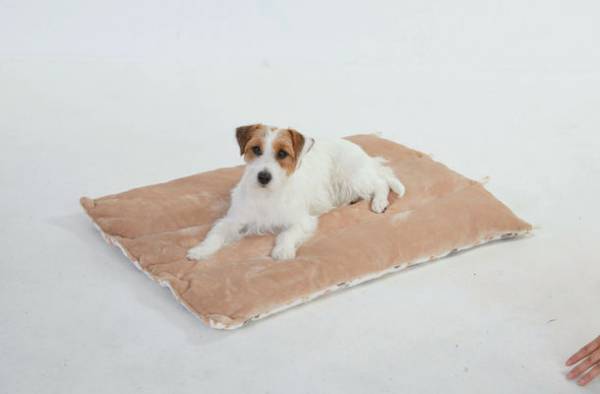 サステナブルな天然繊維「カポック」を使用した、初※のドッグウェアとベッドを2022年8月18日(木)に発売