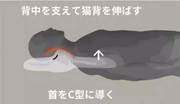 中部エリア初出展！韓国で累計販売実績5万個超の寝ながら姿勢を正す「ゴッチョ背まくら」　～ 8月19日～21日　名古屋駅にて期間限定出展 ～