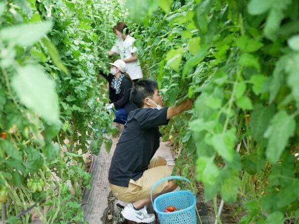 長野県朝日村の農家さんの畑で「越境学習プログラム KOERU」を9月17日～18日に開催　自然を感じ本来の自分と向き合おう
