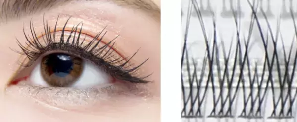 アイドルのようなぱっちり束感まつげに！初心者でも手軽にできるマツエクのようなつけまつげ　～2022年9月上旬より順次発売～