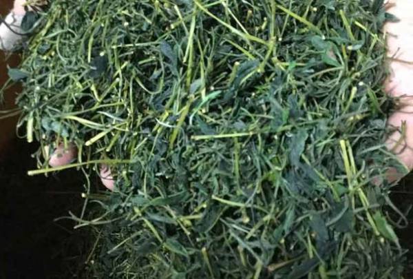 京都山科 ホテル山楽が素材にこだわった人気の朝食ブッフェを9月限定で「京会席ブランチ」として提供開始！