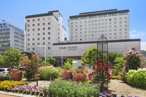 函館へのグループや団体のご旅行に　フォーポイントバイシェラトン函館「宴会宿泊プラン」を9月1日より期間限定販売