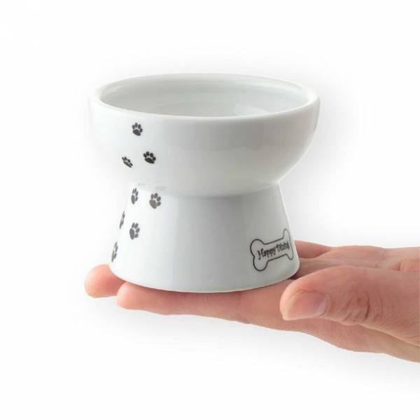 『犬用 脚付フードボウル 斜めタイプ』が2022年8月中旬に発売！1年経たずに1万個販売を突破した猫用が犬用になって登場　～犬用ラインナップは全部で7種類～