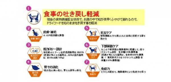 “食事の吐き戻しを軽減する”猫用健康機能食『AllWell』から「早食いが気になる猫用」「健康免疫サポート※1」「成猫の腎臓の健康維持用」3種類を新発売