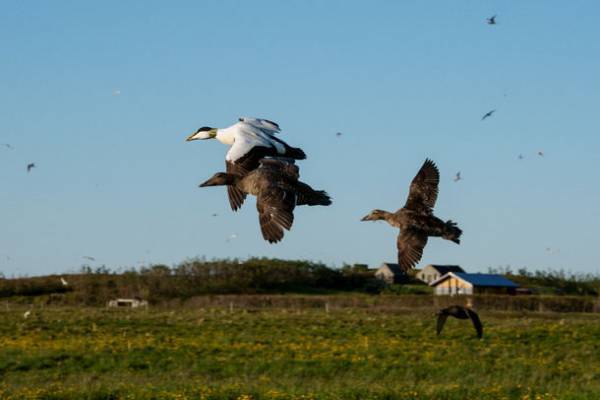 金沢の眠りのプロフェッショナル企業“ISHITAYA”　東京・代官山にて天然素材寝具の体験会を9月2～4日に開催