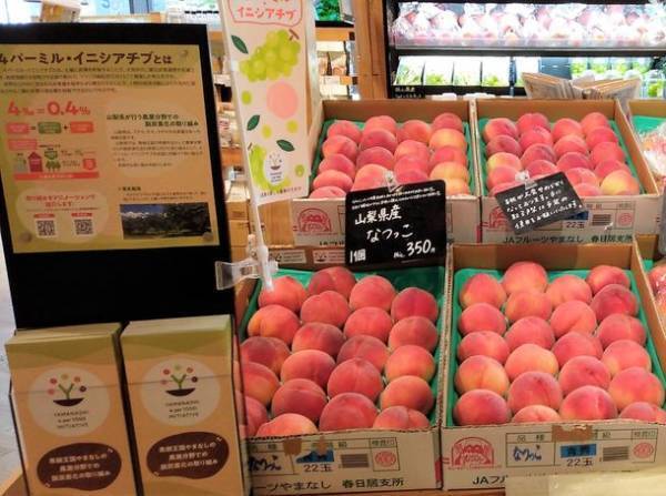 農業分野から脱炭素！山梨県産「シャインマスカット」を販売