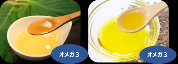 8月23日は「油の日」　MCT・オメガ系の健康油を解説！“油の使い分け”半数以上が「していない」と回答！～食事指導のプロ MICHIKO式「油の選び方」～