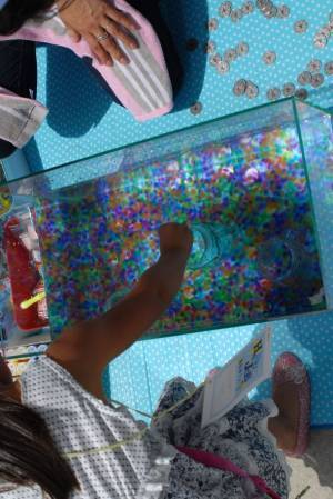 カラダを動かし健康に！歯医者が仕掛けるビッグフェス神奈川県三浦市にて入場無料“はる・カラダフェス”9月11日開催！「親子で一緒に思いっきり身体を動かし、汗をかいて楽しめる！」