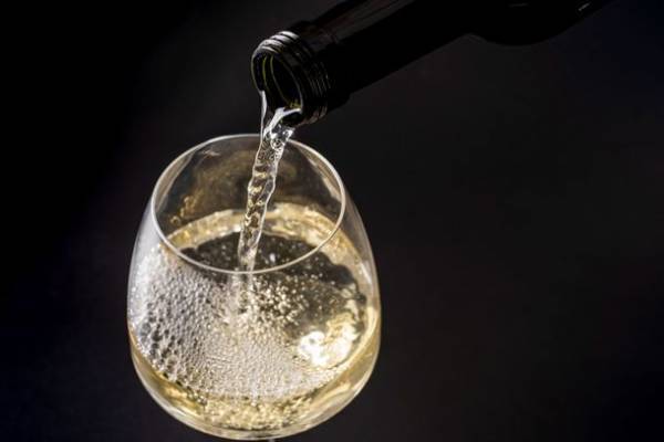 食×マガジン「FUDO-風土-」9月初旬発売！商品と一緒に生産者さんの想いや食材の魅力をストーリーにしてお届け