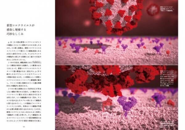 ウイルスの変異がなぜ感染力に影響？mRNAワクチンはなぜ革新的？人体とウイルスの謎にせまる「人体 vs ウイルス」のビジュアル本8月29日に刊行！