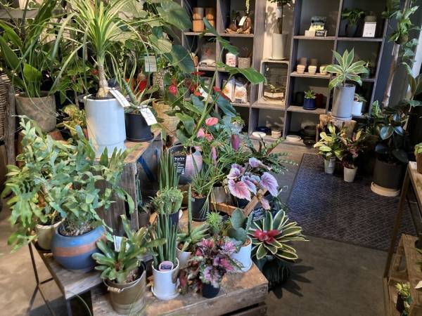 【あべのハルカス近鉄本店】ファッション改革第二弾