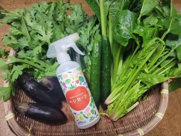 野菜の栄養丸ごと食べる。フードロス問題も解決！まさにSDGs　累計販売本数15万本突破の野菜を洗うお水「ベジセーフ」