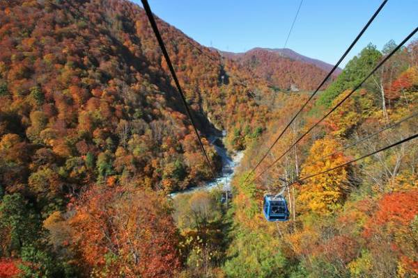ビッグホリデーで貸切運行　485系お座敷列車「華」で行く“10月29日限定出発”の越後路の魅力にふれる特別ツアー発売