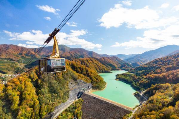 ビッグホリデーで貸切運行　485系お座敷列車「華」で行く“10月29日限定出発”の越後路の魅力にふれる特別ツアー発売