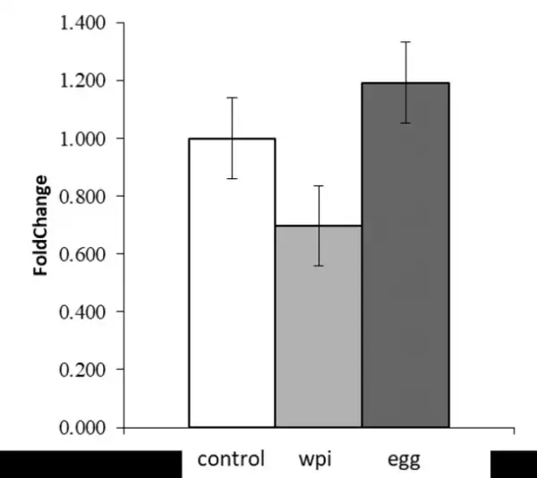 卵白プロテインに関する九州大学との共同研究結果について