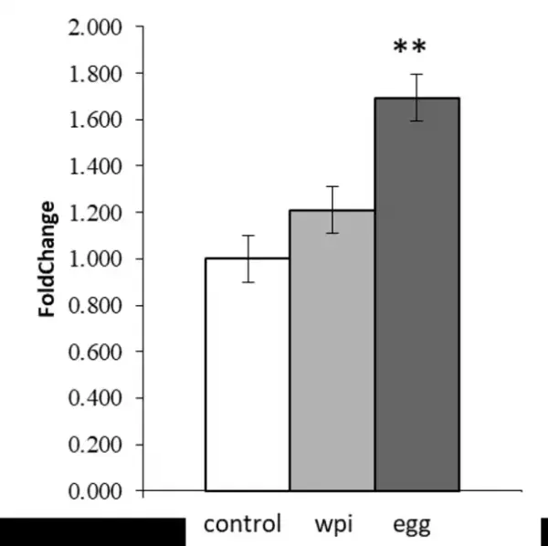 卵白プロテインに関する九州大学との共同研究結果について