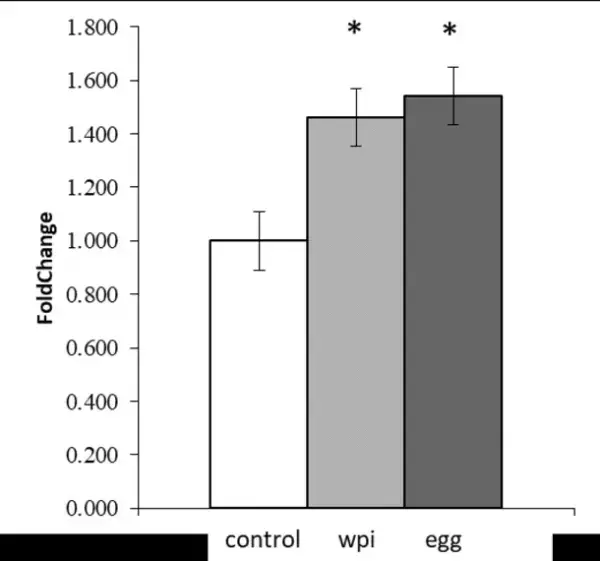 卵白プロテインに関する九州大学との共同研究結果について