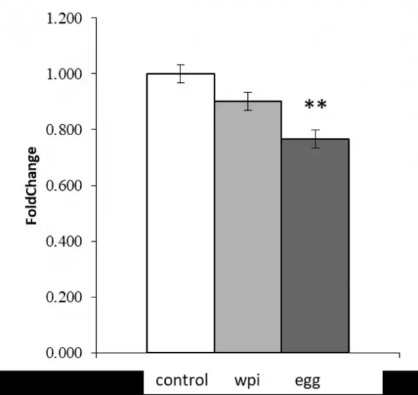 卵白プロテインに関する九州大学との共同研究結果について