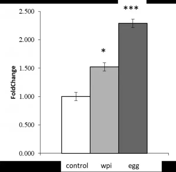 卵白プロテインに関する九州大学との共同研究結果について