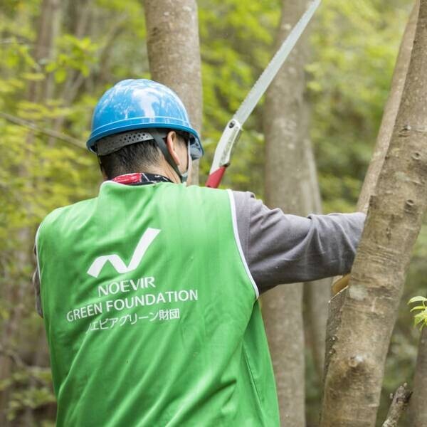 15歳以上対象「六甲山の森づくり事業」ボランティア募集のお知らせ　～自然豊かな六甲山の森の整備とクラフト体験！10月15日開催～