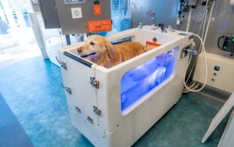 ー愛犬家への新たなサービスー完全無人型店舗　セルフ式ドッグスパ「Ｋ・ＤｏｇＳｐａ（ケイ・ドッグスパ）」事業を今秋スタートします