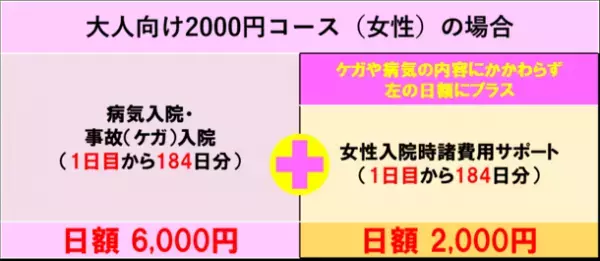 CO・OP共済《たすけあい》の新コースが誕生　600万人に広がった加入の輪！より良い保障内容へ改定！