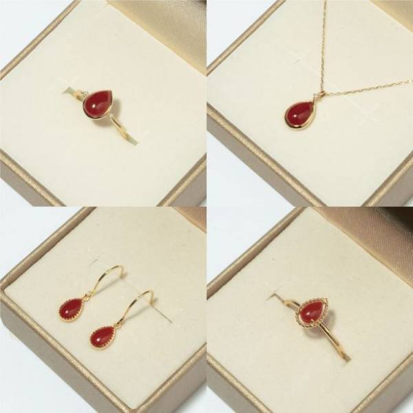 深海300mで採れる希少石「血赤珊瑚」ジュエリー　クラウドファンディング開始直後に目標達成！2週間で100万円突破