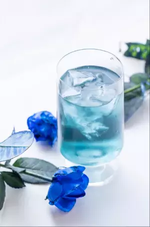 滋賀長浜～黒壁スクエアに新名所チーズケーキと紅茶の専門店が8月27日(土)オープン