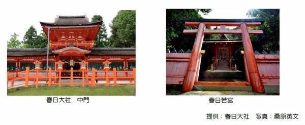 ～春日若宮御造替奉祝企画～春日大社「春日若宮お砂持ち」行事参加ツアーを開催